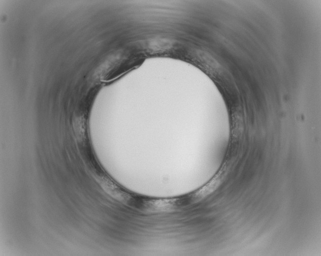 X0000070380184200607072203