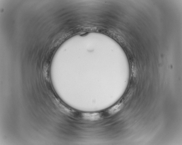 X0000070380185200607072203