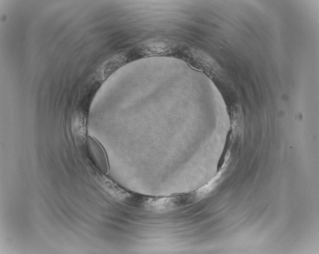 X0000070380186200607072203