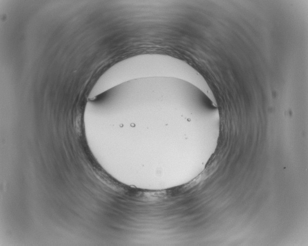 X0000070380188200607072203