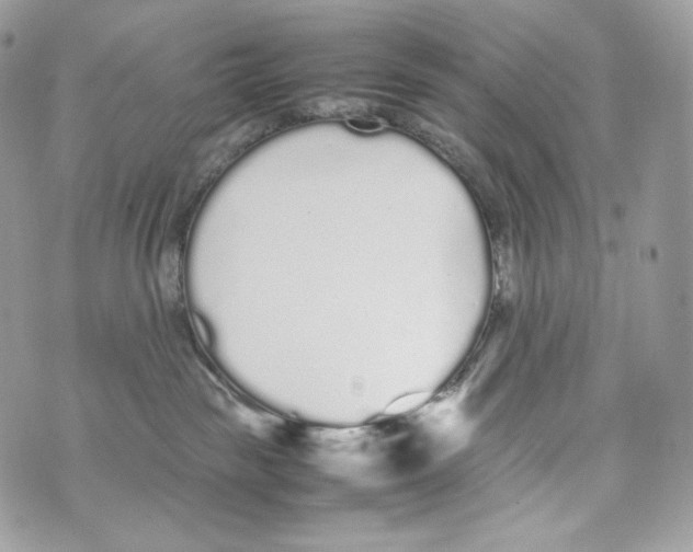 X0000070380189200607072203