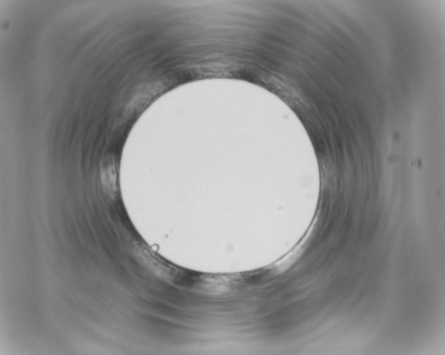 X0000070380190200607072203