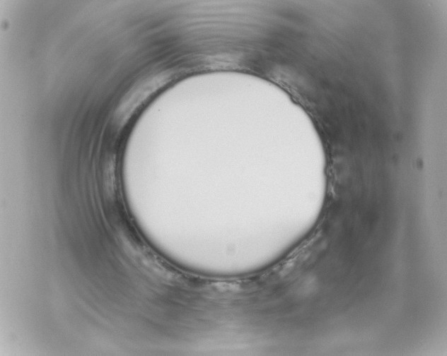 X0000070380194200607072202