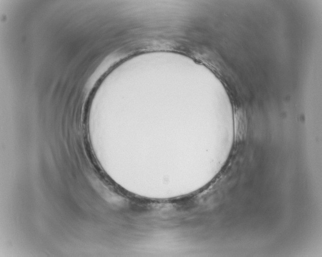 X0000070380195200607072202