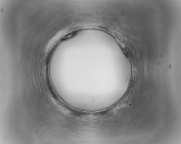 X0000070380197200607072202