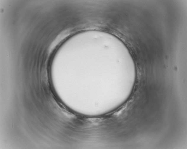 X0000070380198200607072202