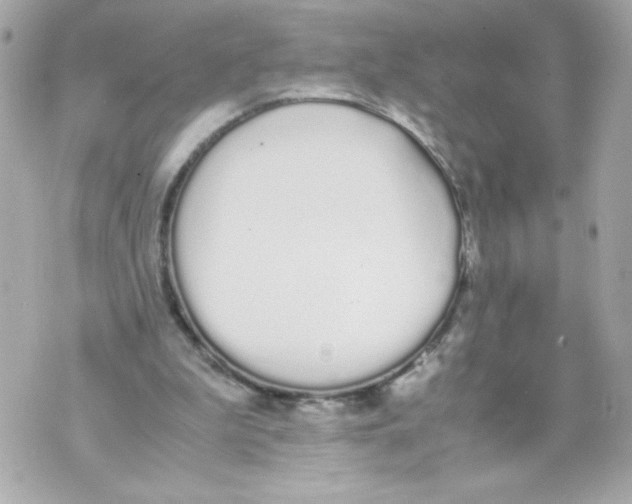 X0000070380199200607072202