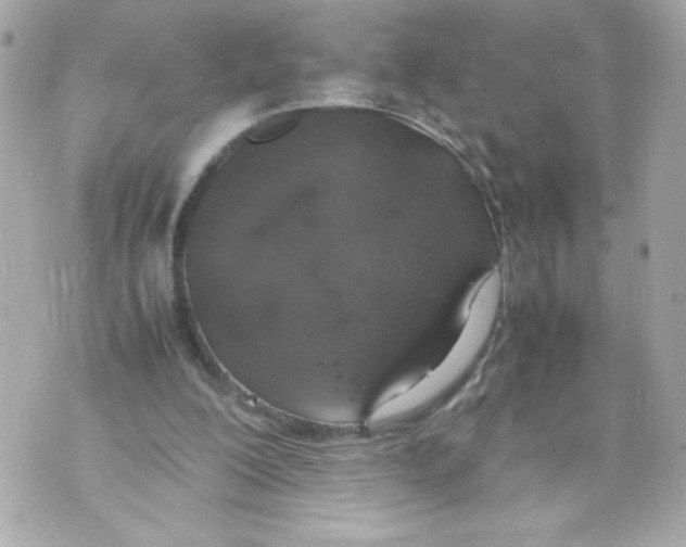 X0000070380200200607072202