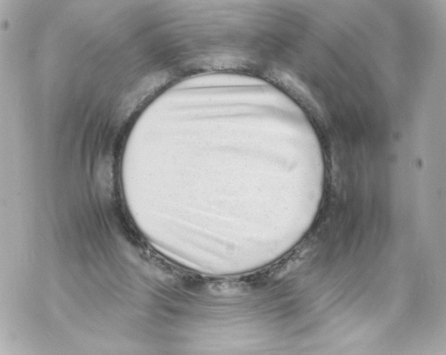 X0000070380202200607072202