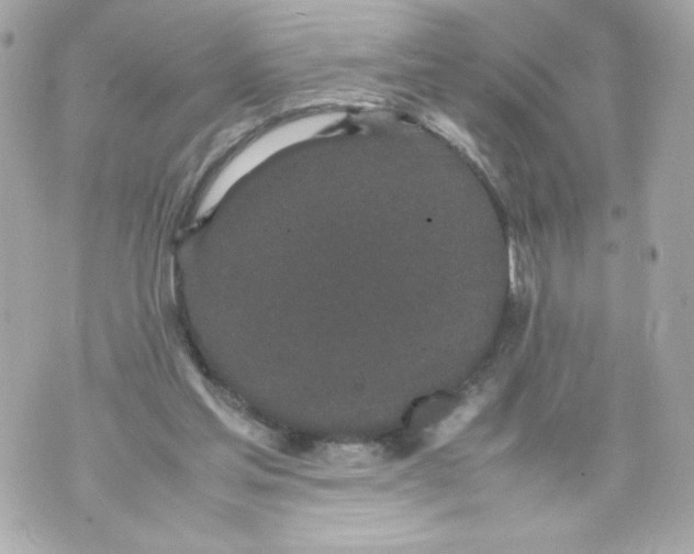 X0000070380205200607072202