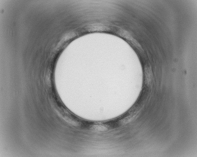 X0000070380207200607072202