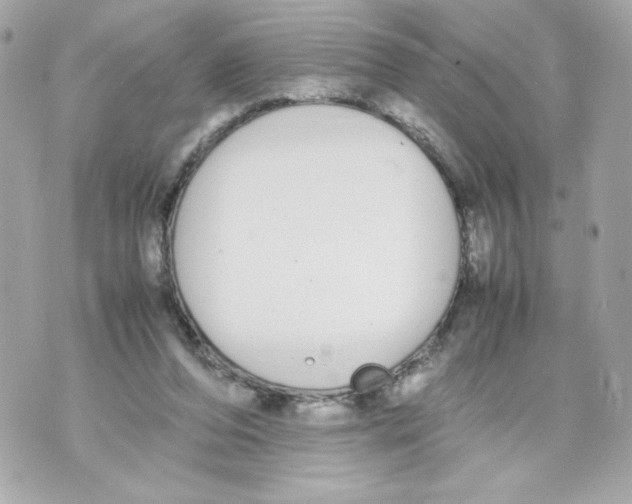 X0000070380208200607072202