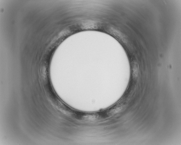 X0000070380211200607072202