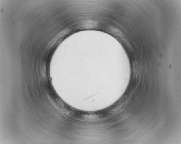 X0000070380212200607072202