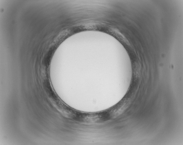 X0000070380213200607072202