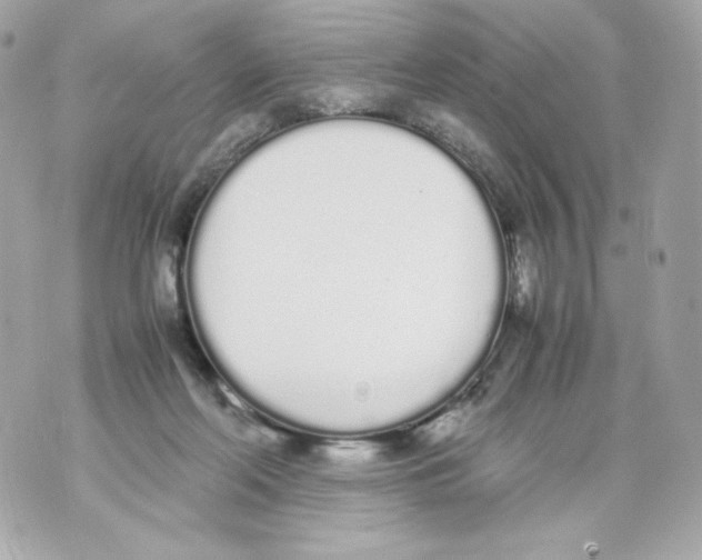 X0000070380214200607072202