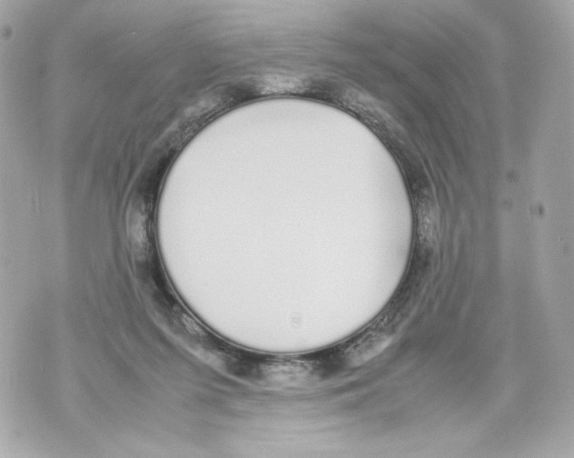 X0000070380215200607072202