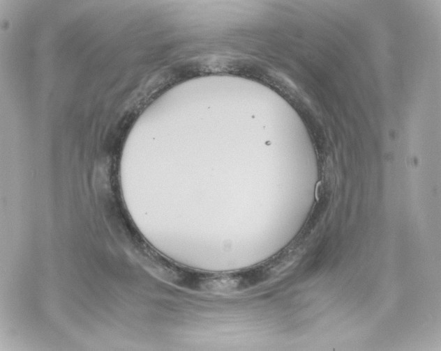 X0000070380217200607072202