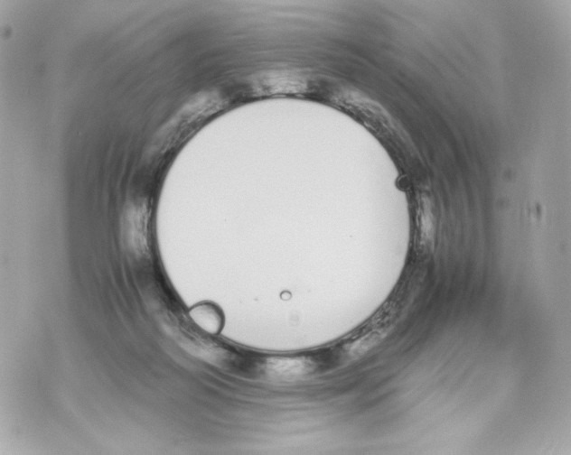 X0000070380218200607072202