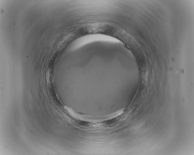 X0000070380219200607072202