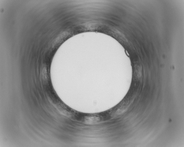 X0000070380220200607072202