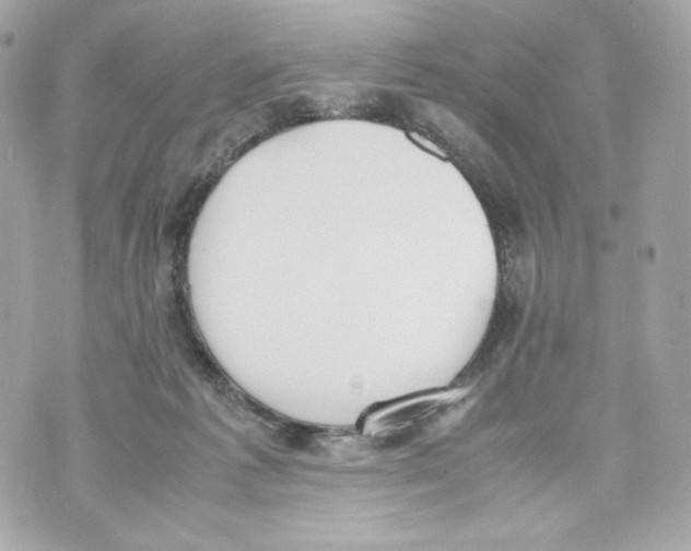 X0000070380221200607072202