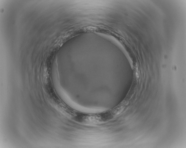 X0000070380223200607072202