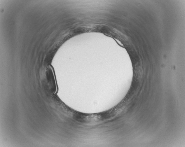 X0000070380225200607072202