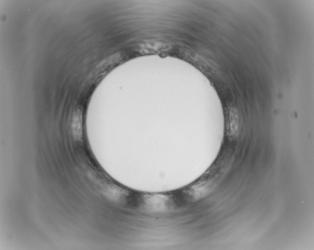 X0000070380226200607072202