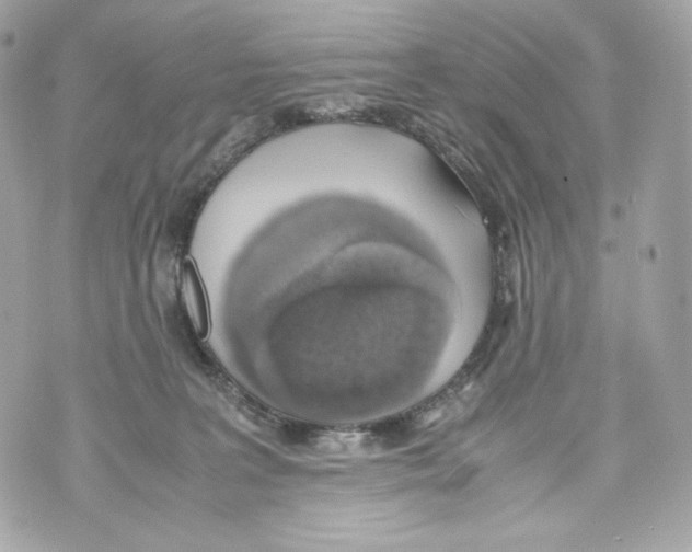 X0000070380227200607072202