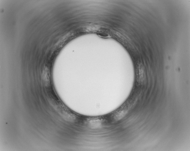 X0000070380228200607072202