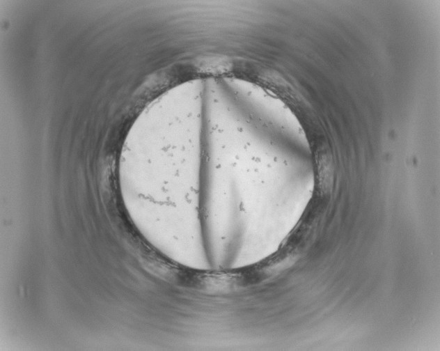 X0000070380229200607072202