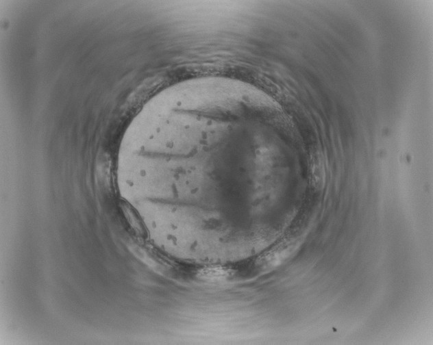 X0000070380231200607072202