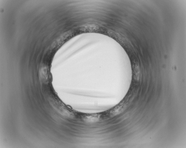 X0000070380232200607072202