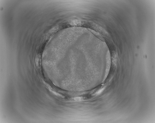 X0000070380233200607072202