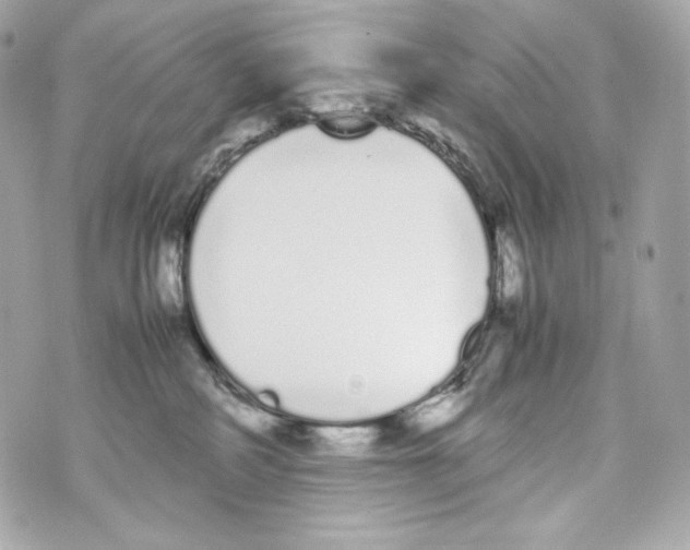 X0000070380234200607072202