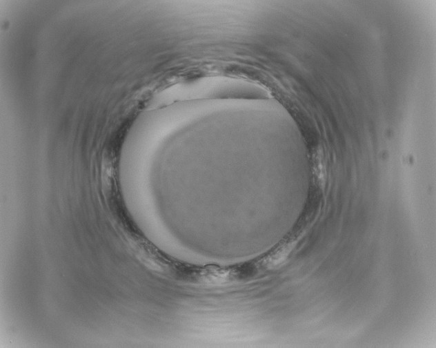 X0000070380235200607072202