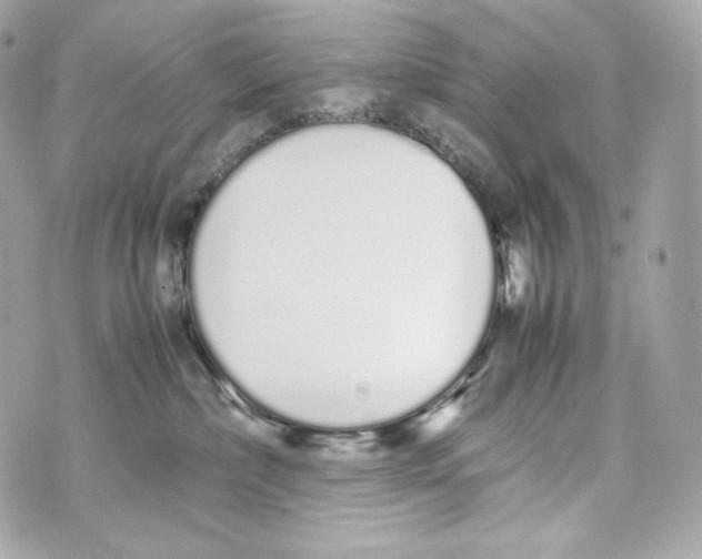 X0000070380236200607072202