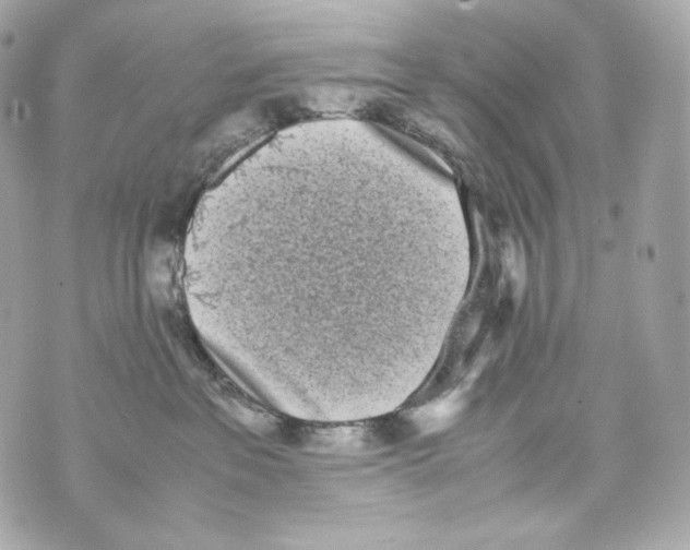 X0000070380237200607072202