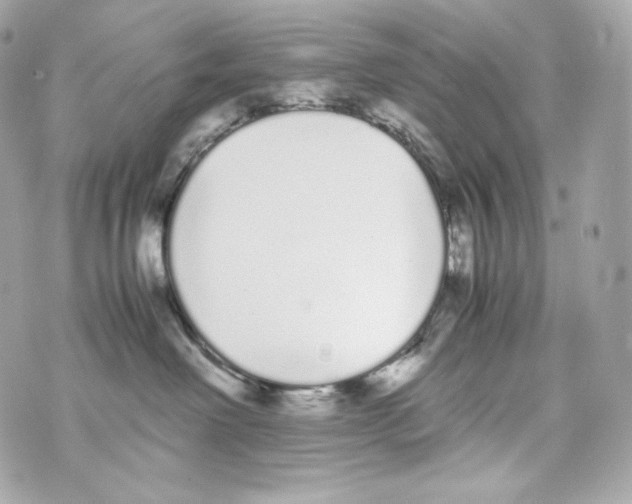 X0000070380238200607072202