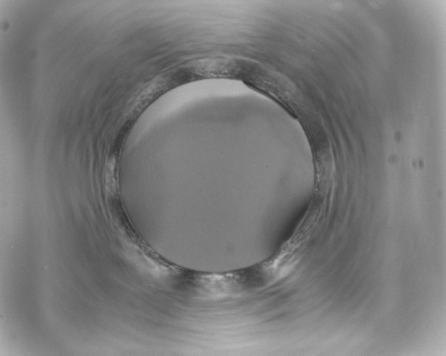 X0000070380239200607072202