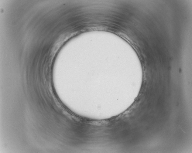 X0000070380241200607072201