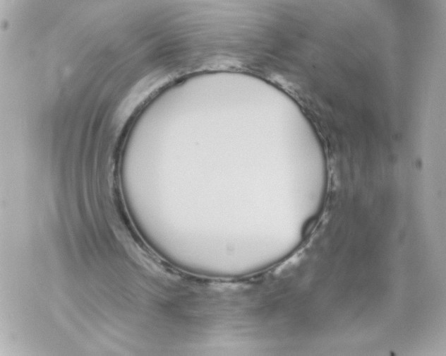 X0000070380242200607072201