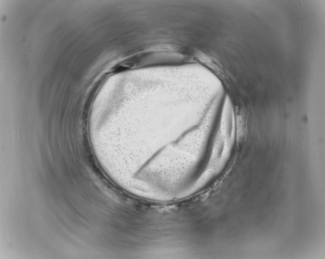 X0000070380243200607072201