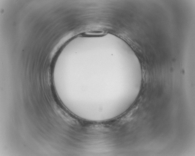 X0000070380244200607072201