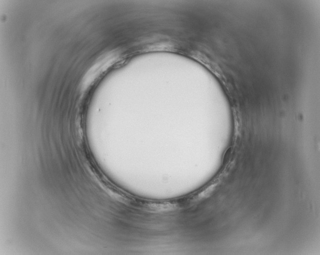 X0000070380245200607072201