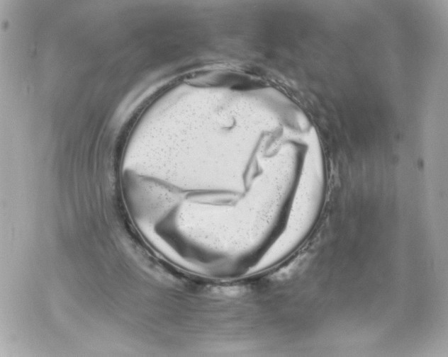 X0000070380247200607072201