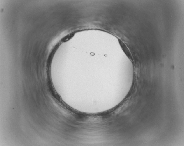 X0000070380248200607072201