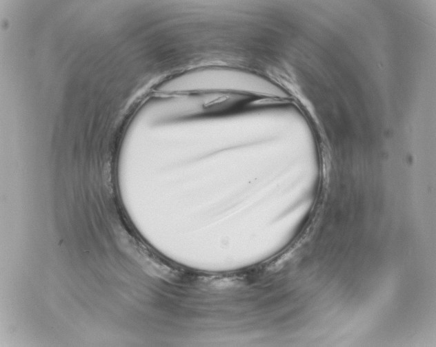 X0000070380249200607072201