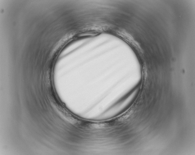 X0000070380250200607072201